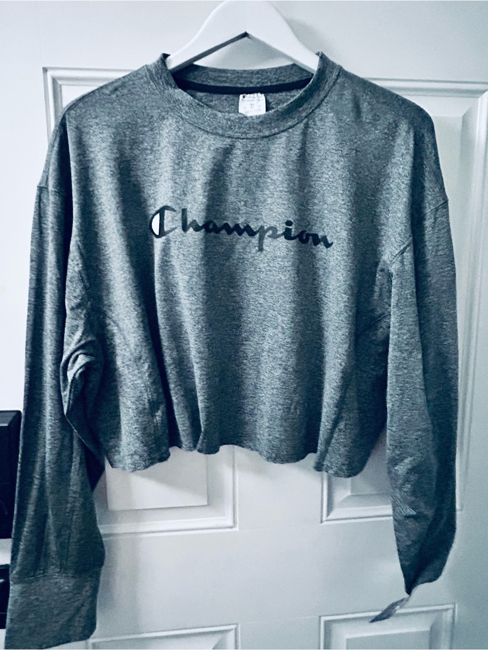 Champion Gray Cropped Crewneck Sweatshirt with Script Logo